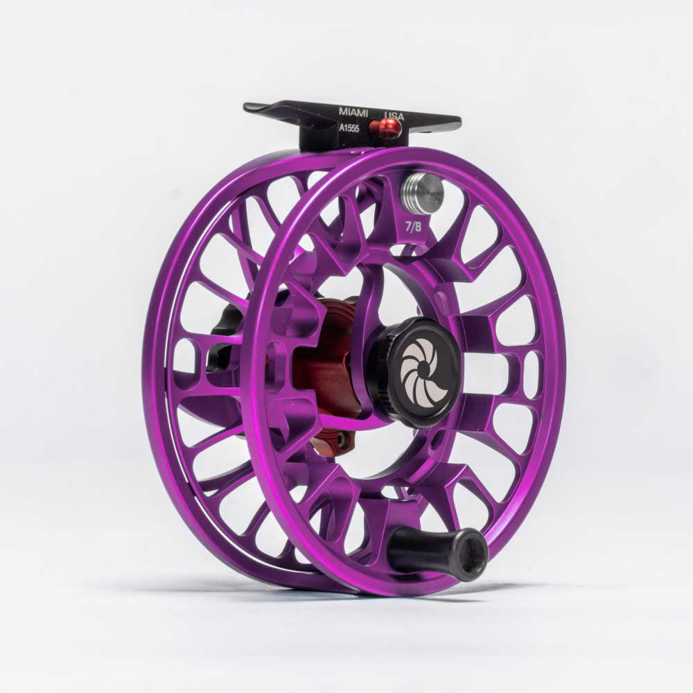 #color_purple haze