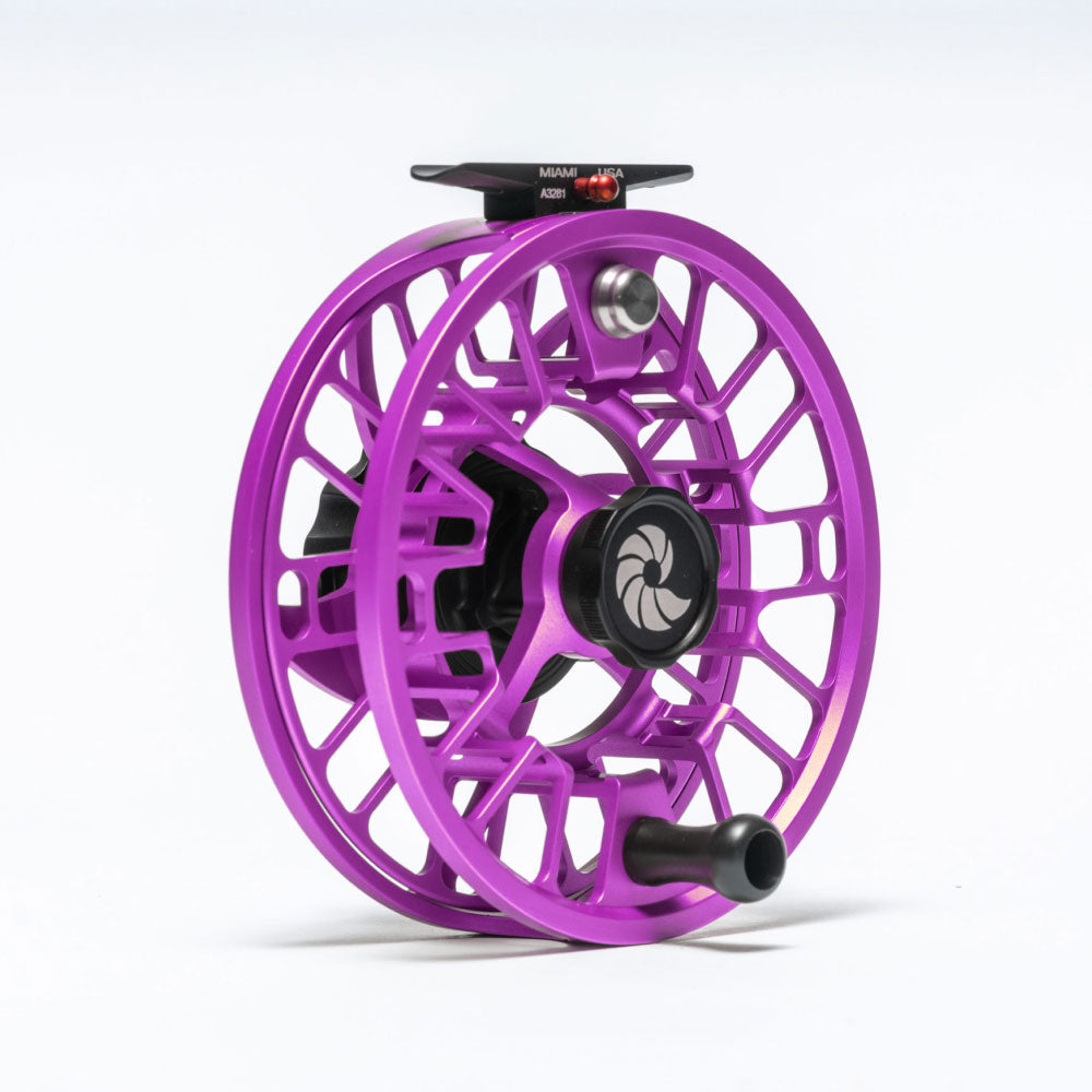 #color_purple haze