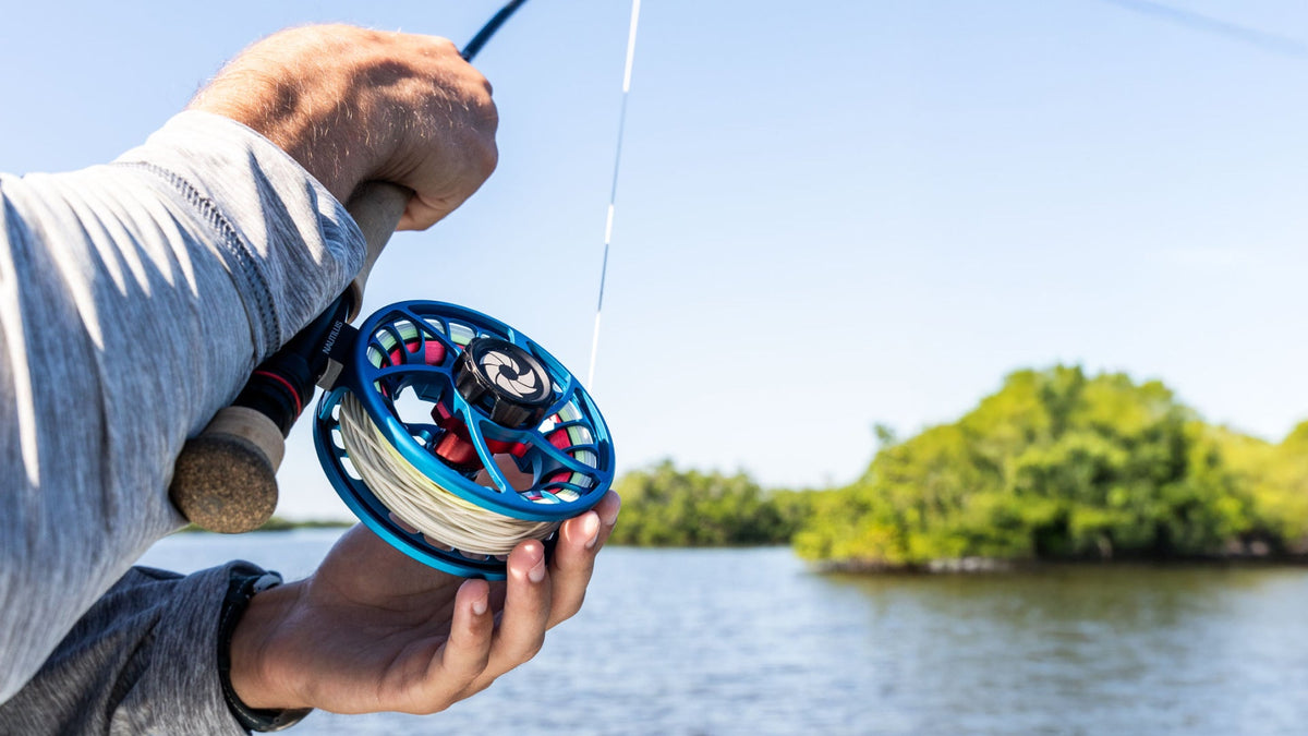 blue nautilus fly reels CCF-X2 6/8 Fathom The newest addition to the Nautilus family is the CCF Reels