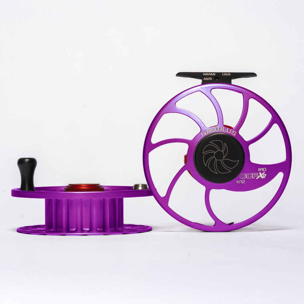 #color_purple haze