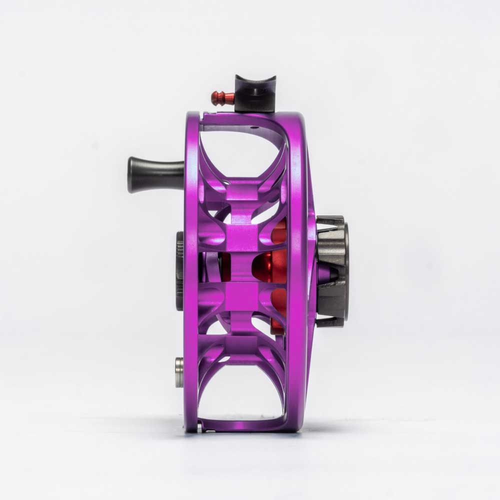 #color_purple haze